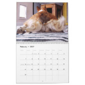Corgi Hinterns & Friends Wall Calendar 2012 Kalender (Feb 2027)
