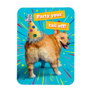 Corgi-Hinterteil-Geburtstagshut Magnet