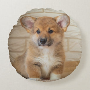 Corgi-Hund-Foto Rundes Kissen