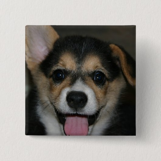 Corgi-Hundequadrat-Button Button (Vorderseite)