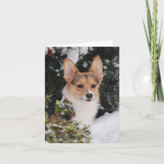 Corgi im Schnee Karte (Vorderseite)