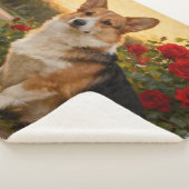 Corgi in den Rosen II Sherpadecke (3/4)