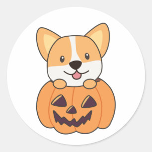 Corgi in Pumpkin Niedliche Hunde glücklich Hallowe Runder Aufkleber