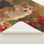 Corgi in the Roses V Sherpadecke (3/4)
