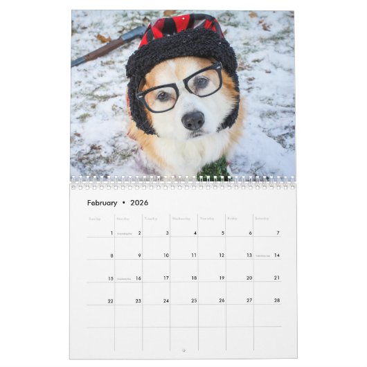 Corgi-Kalender 2019 Kalender (Feb 2026)