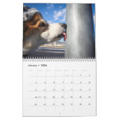 Corgi-Kalender 2019 Kalender (Jan 2026)