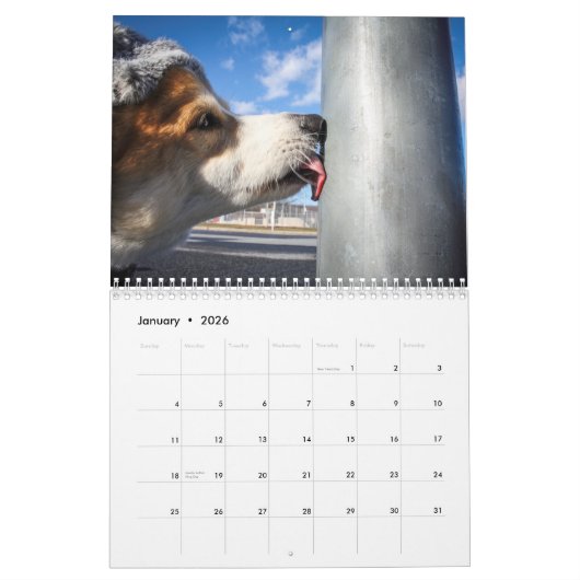 Corgi-Kalender 2019 Kalender (Jan 2026)