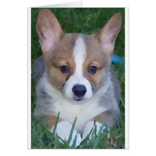 Corgi-Karte