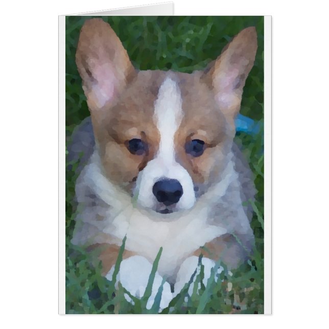 Corgi-Karte (Vorne)