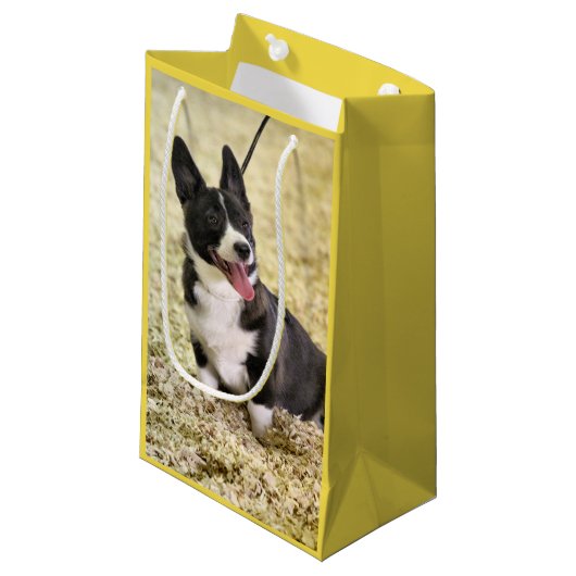 Corgi Kleine Geschenktüte (Vorderseite Schrägansicht)