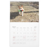 Corgi-Klugheits-Kalender Kalender (Mär 2027)