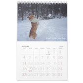 Corgi-Klugheits-Kalender Kalender (Jan 2026)