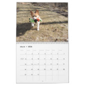 Corgi-Klugheits-Kalender Kalender (Mär 2026)