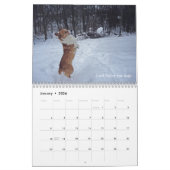 Corgi-Klugheits-Kalender Kalender (Jan 2026)