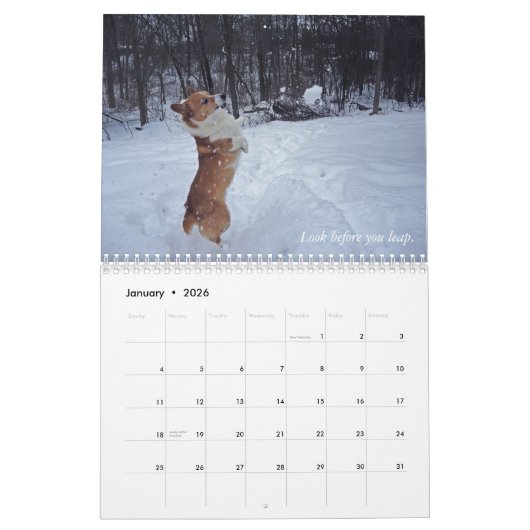 Corgi-Klugheits-Kalender Kalender (Jan 2026)