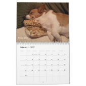 Corgi-Klugheits-Kalender Kalender (Feb 2027)