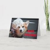 Corgi Koch Weihnachtskarte Karte (Vorderseite)