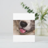 Corgi-Küsse Postkarte (Stehend Vorderseite)