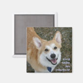 Corgi lächelt sind ansteckend! magnet (Vorderseite/Rückseite)
