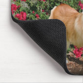 Corgi-Läufe mit Schmetterlingen Mousepad (Ecke)