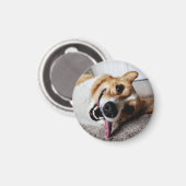 Corgi Magnet (Vorderseite/Rückseite)