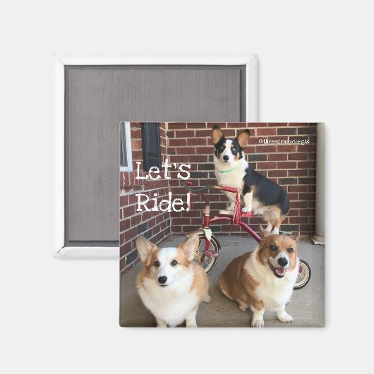 Corgi Magnet (Vorderseite/Rückseite)