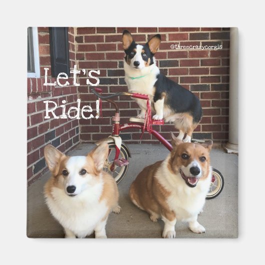 Corgi Magnet (Vorne)