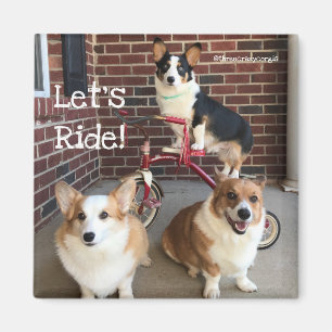 Corgi-Magnet Magnet