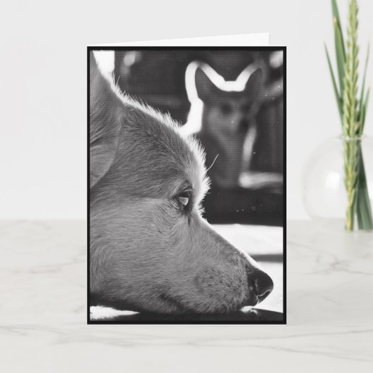 Corgi Missing You Karte (Vorderseite)