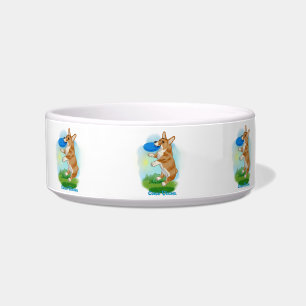 Corgi mit frisbee napf