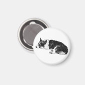 Corgi mit gefasstem Ausdruck Magnet (Vorderseite/Rückseite)