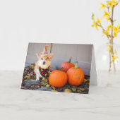 Corgi mit Pumpkin-Erntedank-Karte Karte (Gelbe Blume)
