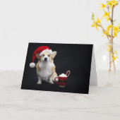 Corgi mit Weihnachtscreme und weich geschnittenem Karte (Gelbe Blume)
