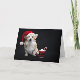 Corgi mit Weihnachtscreme und weich geschnittenem Karte