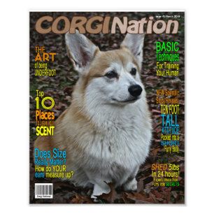 Corgi Nation Magazine (Customizable Print) Fotodruck