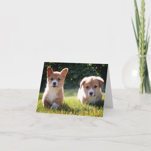 Corgi (Pembroke Welsh) Welppy Dog Note Card Karte (Vorderseite)