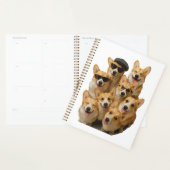 Corgi Planer (Anzeige)