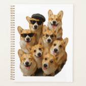 Corgi Planer (Vorderseite)