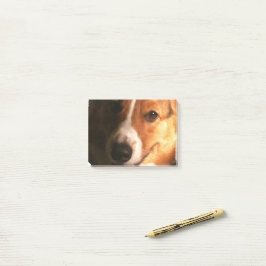 Corgi Post-it Klebezettel (Auf Schreibtisch)
