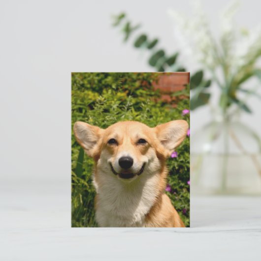Corgi Postcard Postkarte (Stehend Vorderseite)