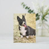 Corgi Postkarte (Stehend Vorderseite)