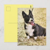 Corgi Postkarte (Vorne/Hinten)