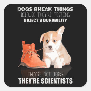 Corgi Puppy Dog Sie sind nicht Jerk, sie sind Wiss Quadratischer Aufkleber