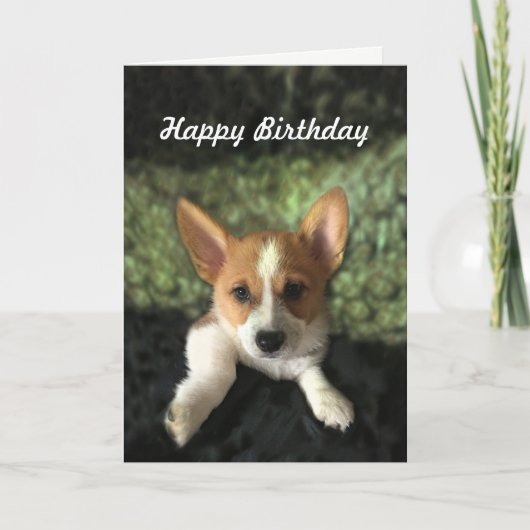 Corgi Puppy Happy Birthday Karte (Vorderseite)