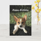Corgi Puppy Happy Birthday Karte (Gelbe Blume)