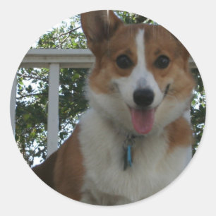 Corgi Puppy Hundsticker Runder Aufkleber