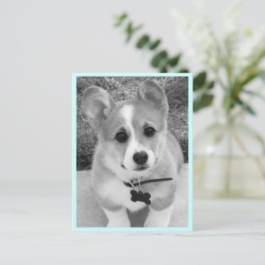 Corgi Puppy Postkarte (Stehend Vorderseite)