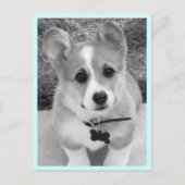 Corgi Puppy Postkarte (Vorderseite)