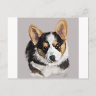 Corgi Puppy Postkarte