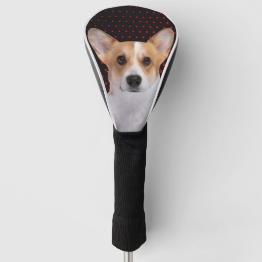Corgi  red dots golf headcover (Vorderseite)